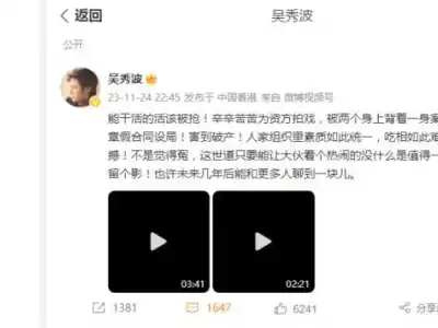 吴秀波深夜发文回应“被强执4.66亿”：辛苦给资方拍戏，被人设局骗到破产