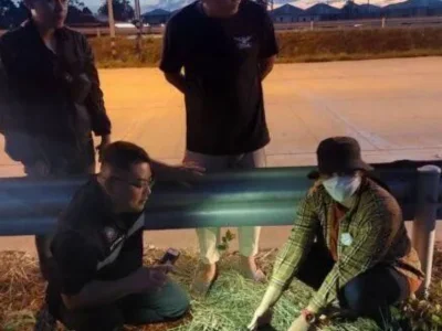 认识不到3天就开房！土耳其男在泰被盗近10万财物！