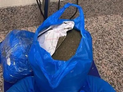 亚裔旅客欲携带8.9公斤大麻入境迪拜，被海关拦下
