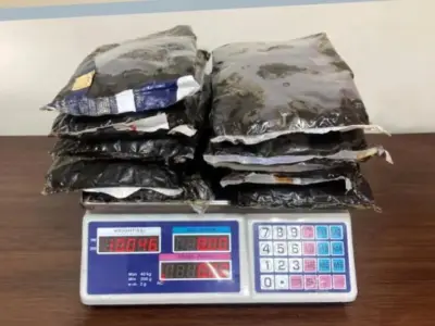 集装箱运毒被识破，阿联酋海关人员缴获10公斤毒品