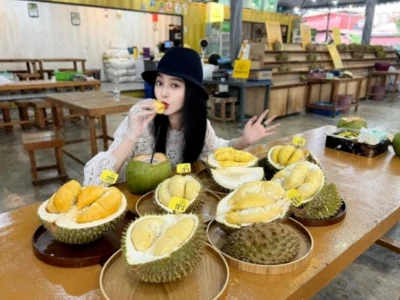范冰冰来马来西亚霸气包场吃榴莲！用马来文大赞大马榴莲！