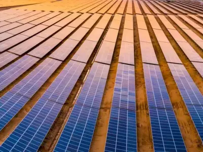 中国可再生能源公司天合光能宣布与阿联酋合作