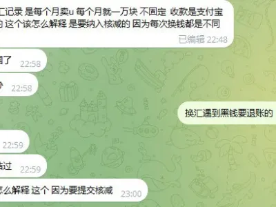 群友求助：换汇记录 是每个月卖u 每个月就一万块