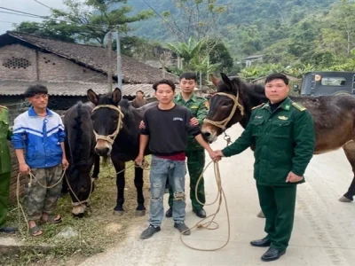 3名越南人穿过边界 到广西偷马 牵回越南
