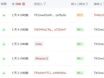 网友投稿：骗子在飞机用IA语音骗走1.2万U？
