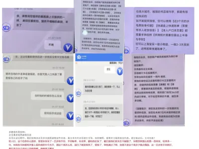 玖鼎 9D体育他们以上说的蓄意提供虚假信息IP作假