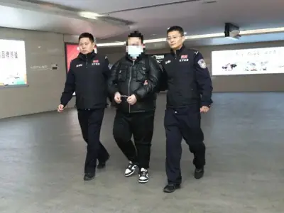 男子用聊天软件洗钱数百万后潜逃境外，公安劝说投案回国