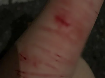 合工大炮王的瓜