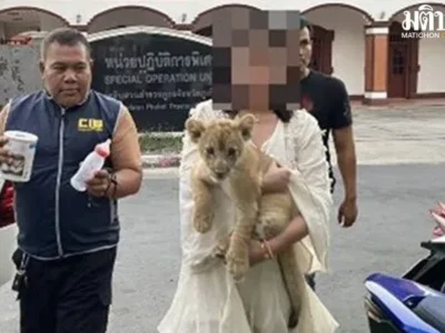 中国女子在泰开咖啡馆还养幼狮，被泰警盯上后……