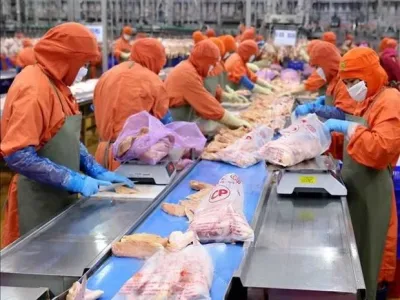 中国香港成为越南最大肉和肉制品进口市场