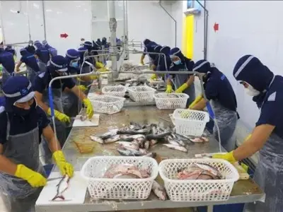 春节假期后胡志明市工人返岗率达97%以上
