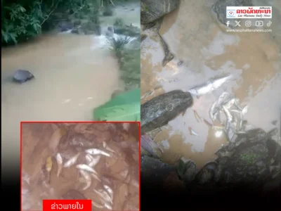 老挝华潘省一条天然小溪中发现大量死鱼，引恐慌