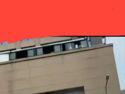看见曝光白楼12楼的(东北)，我想到我遭遇到非人的待遇