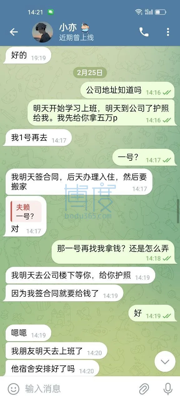 4.jpg