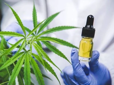 菲律宾缉毒署警告公众注意大麻味电子烟