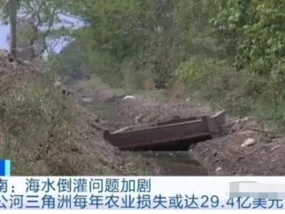每年损失或达212亿元！越南遭遇严重海水倒灌