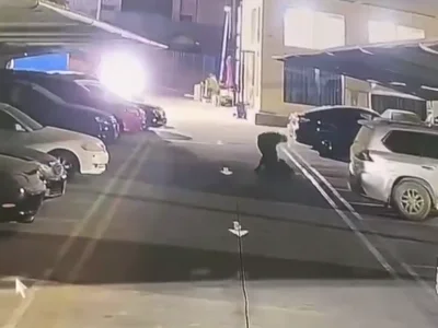 网友投稿：这两天发生的一起砍人事件