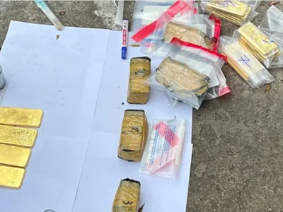 越南跨国黄金走私大案揭秘：6吨黄金藏匿运冰车，涉案金额高达8.5万亿越南盾！