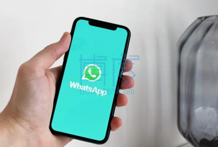 QQ截图20240403212337.png