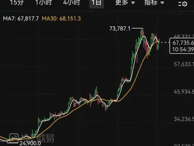 牛某网络赌博输红了眼急于扳本孤注一掷，因比特币突然闪崩而爆仓