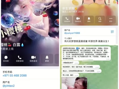 网友爆料：迪拜温州女坑我7万U
