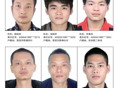 通告！这24人限期回国！附照片！