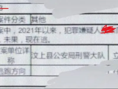 网友求助：我们公司都上了网逃，怎么办？
