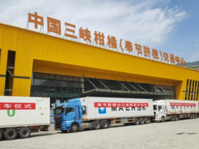 奉节脐橙首次出口迪拜