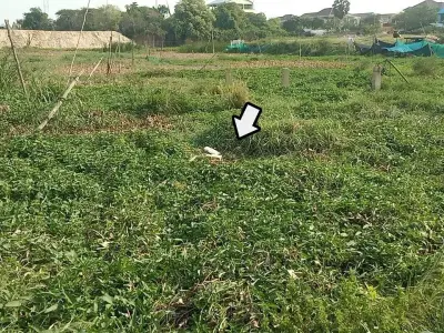 金边湖中发现一具白骨，警方初步鉴定为男性