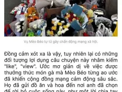 网友投稿：越南人也去河内的西湖上放外卖和鲜花怀念胖猫