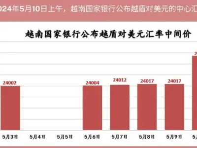 越南盾暴跌！国库逐渐枯竭，国际资金纷纷撤离，全因这一人？
