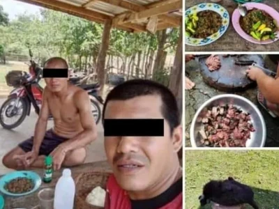 老挝甘蒙男子猎杀烹食白颊长臂猿并发帖炫耀被警方抓获