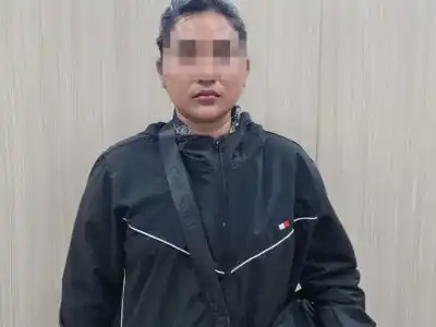 打着金边警长旗号诈骗，女子借2.5万美元不还终自首