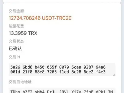 比特派钱包被盗   今天无缘无故被盗U