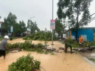 林同省吉仙县遭遇大雨和强风，树木倒塌，屋顶被掀翻