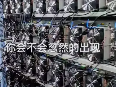网友分享：上了岸的人是怎么再次下海的？