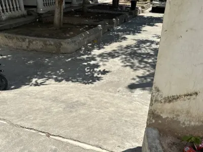 网友吐槽：柬埔寨金边五号园区大山团队韩股大区