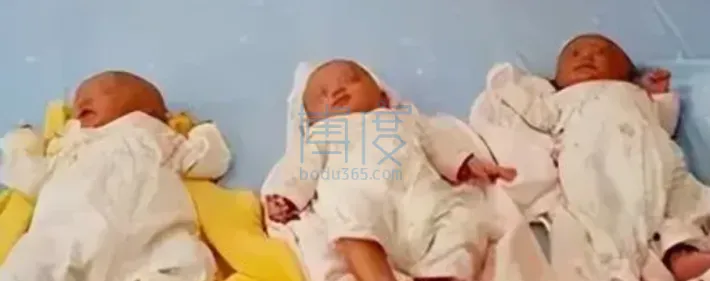 微信图片_20240610085724.png