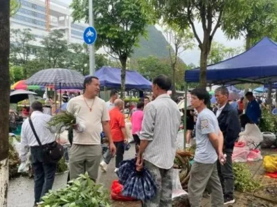 越南人逛千年端午药市 体验神奇壮医术