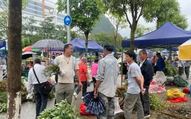 QQ截图20240610160314.png