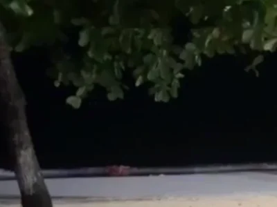 网友投稿：昨晚西港海边一男女公然发生性行为