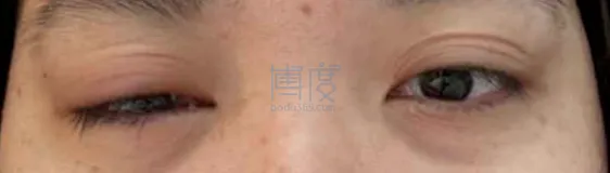 QQ截图20240709175354.png