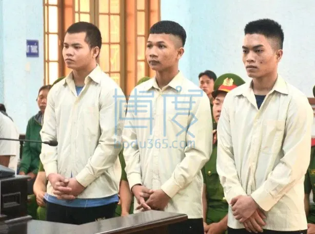 QQ截图20240710145131.png