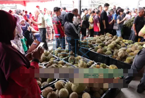QQ截图20240710144358.png