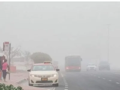 阿联酋发布大雾黄色预警