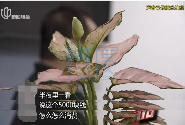 QQ截图20240719031737.png
