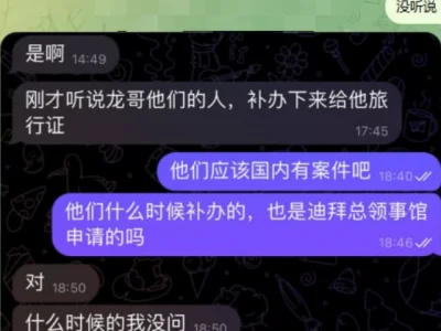 网友投稿：最近迪拜补办护照有没有给旅行证的