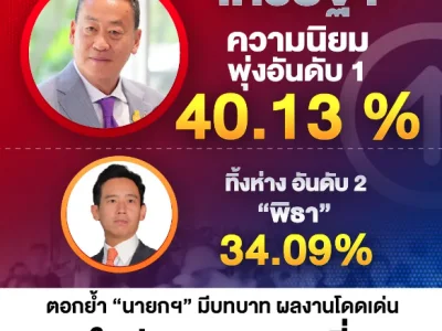 赛塔VS皮塔：他大获全胜！