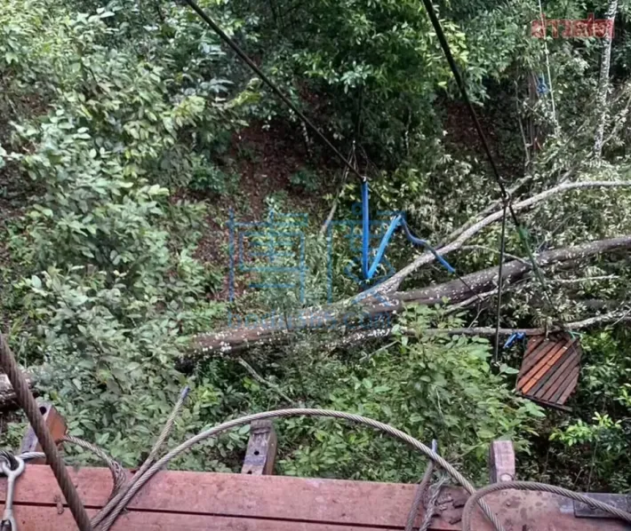 QQ截图20240802142702.png