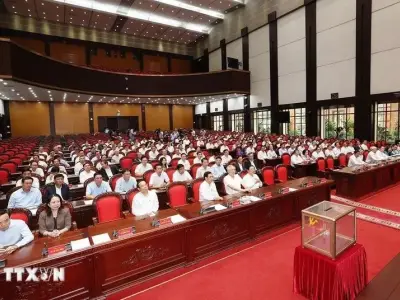 越南政坛“人事地震”持续？